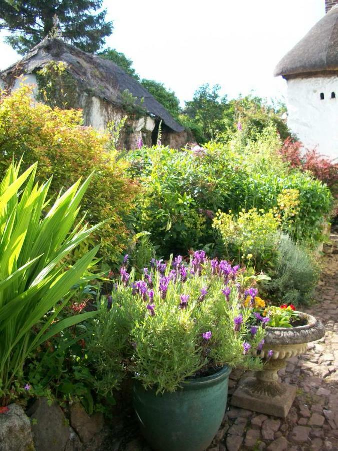 Middletown Farmhouse B&B Okehampton Dış mekan fotoğraf
